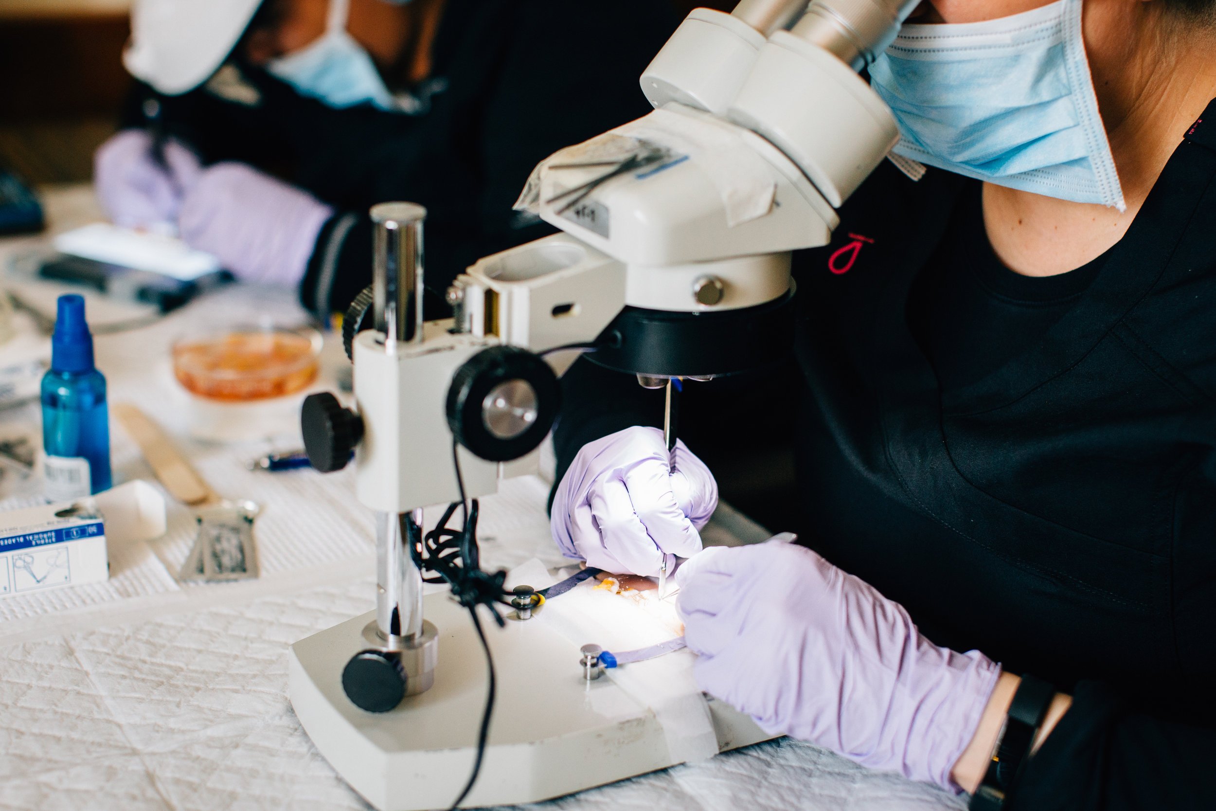 Dr Jason Champagne Hair Transplant Hair Techs